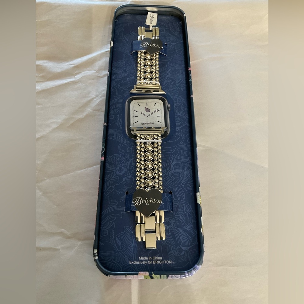 New Retired Brighton Apple Watch Silver Band